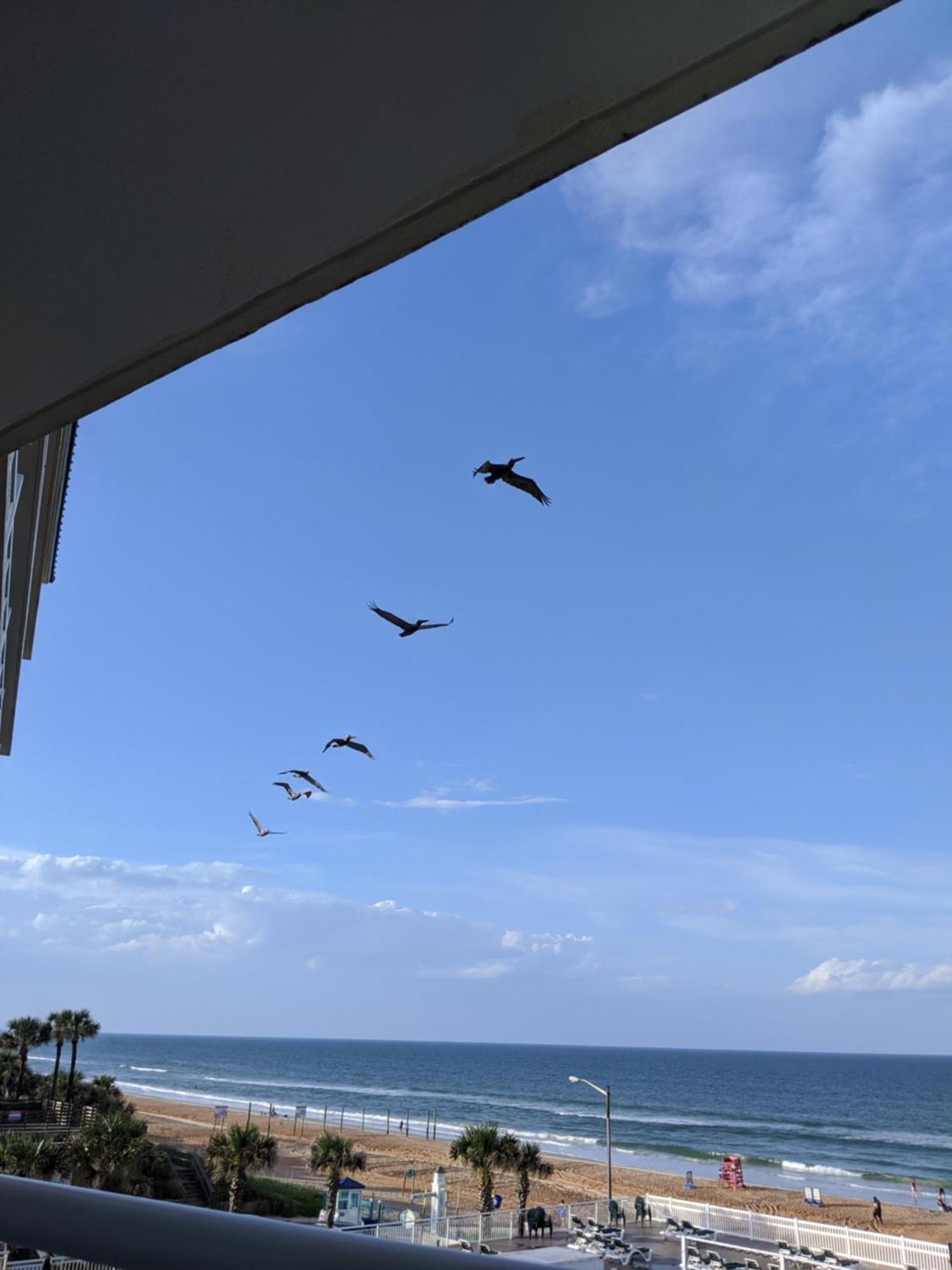 Royal Floridian Resort by Spinnaker Ormond Beach Eksteriør bilde